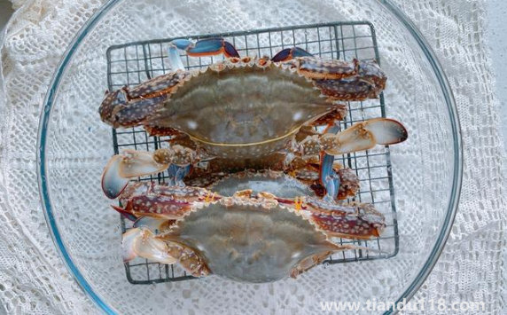 梭子蟹哪個(gè)部位最寒(螃蟹怎么吃沒那么寒)(圖2) 梭子蟹哪個(gè)部位最寒2