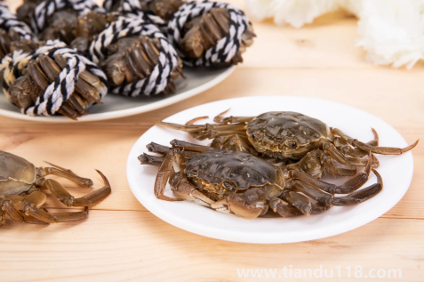 買來的活螃蟹暫時不吃怎么保存(螃蟹放冰箱能放多久)(圖3) 買來的活螃蟹暫時不吃怎么保存3