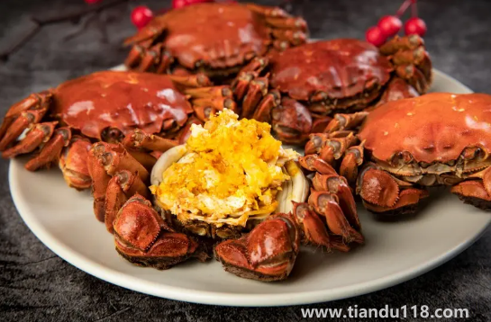 梭子蟹和大閘蟹哪個(gè)寒氣更重(梭子蟹和大閘蟹的區(qū)別)(圖3) 梭子蟹和大閘蟹哪個(gè)寒氣更重3