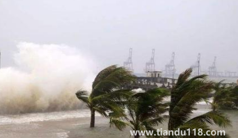 2022年臺(tái)風(fēng)梅花會(huì)影響浙江嗎(如何預(yù)防臺(tái)風(fēng)天)(圖3) 2022年臺(tái)風(fēng)梅花會(huì)影響浙江嗎3