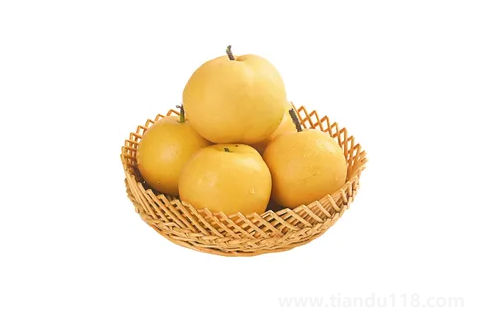 秋月梨和豐水梨是一個品種嗎(梨不能和什么一起吃)(圖2) 秋月梨和豐水梨是一個品種嗎2