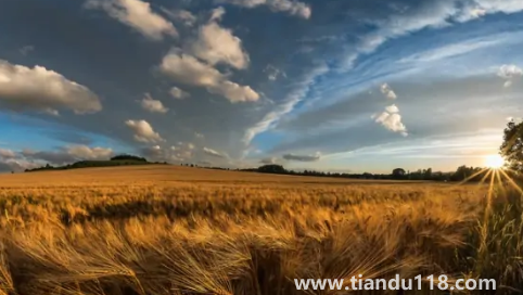 2022河南冬天是濕冷還是干冷(河南冬天最冷是幾月份)(圖3) 2022河南冬天是濕冷還是干冷3