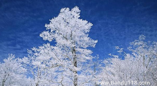 2022上海幾月份進(jìn)入冬季3