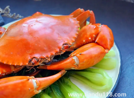 青蟹蒸幾分鐘就可以吃了(青蟹什么時(shí)候最肥)(圖3) 青蟹蒸幾分鐘就可以吃了3