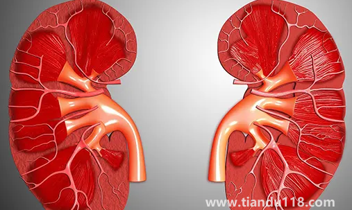 止痛藥吃多了會(huì)導(dǎo)致腎衰竭嗎(腎衰竭怎么引起來的)(圖2) 止痛藥吃多了會(huì)導(dǎo)致腎衰竭嗎2