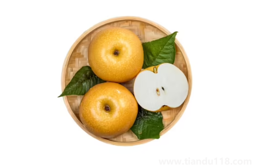 秋月梨和雪梨哪個止咳效果好(秋月梨怎么挑選)(圖2) 秋月梨和雪梨哪個止咳效果好2
