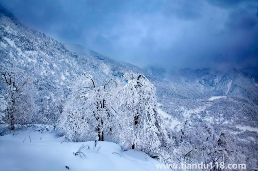 2022至2023年有特大寒潮嗎（寒潮來襲的注意事項）