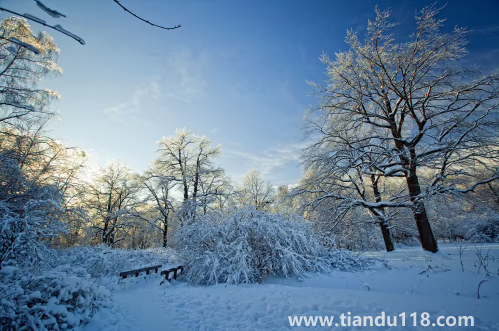 今年冬天會不會很冷2022-2023（冬天天氣冷吃什么好）