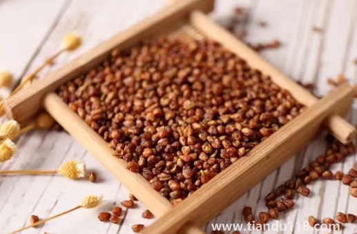 苦蕎麥怎么吃好吃又營(yíng)養(yǎng)(苦蕎麥適合哪些人吃)(圖3) 苦蕎麥怎么吃好吃又營(yíng)養(yǎng)3