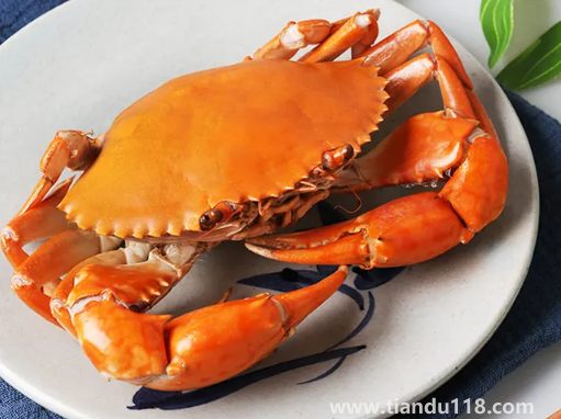 青蟹蒸之前要怎么處理(清蒸青蟹多長時間)(圖2) 青蟹蒸之前要怎么處理2