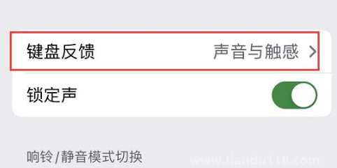 ios16鍵盤震動怎么開(為什么只有iPhone14pro系列支持息屏顯示)(圖3) ios16鍵盤震動怎么開3
