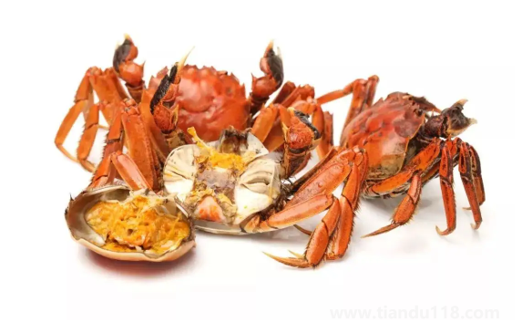 螃蟹能用空氣炸鍋做嗎(吃螃蟹的禁忌)(圖2) 螃蟹能用空氣炸鍋做嗎2