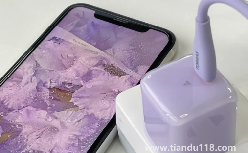 iPhone14要不要加價(jià)購買(iPhone14的30W快充頭需要自己買嗎)(圖3) iPhone14要不要加價(jià)購買3