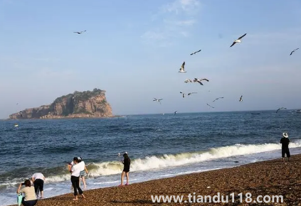 2022年大連國慶期間會人山人海嗎1