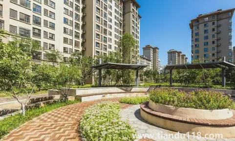 樓房最后一排是無靠山嗎（買房應(yīng)該怎么選位置）