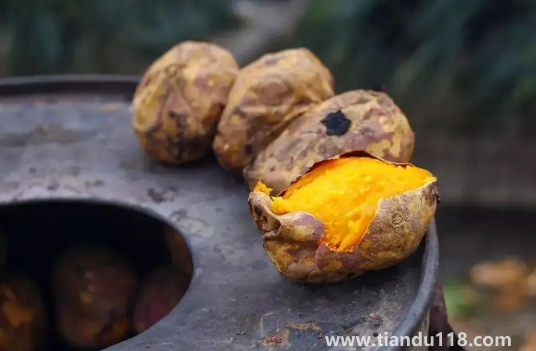 吃烤紅薯減肥還是發(fā)胖2