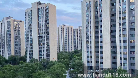 11層千萬不要買幾層樓的房子（買房為啥不買3.7.10.17層）