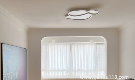 房子吊頂用什么材料好(房子吊頂裂縫怎么修補)(圖2) 房子吊頂用什么材料好2