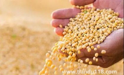 大豆被和蠶絲被哪個適合孩子（大豆纖維被和蠶絲各自有什么優(yōu)點）