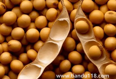 大豆被和蠶絲被哪個適合孩子(大豆纖維被和蠶絲各自有什么優(yōu)點)(圖3) 大豆被和蠶絲被哪個適合孩子3