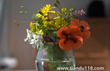 網(wǎng)上買的鮮花要醒花多久(網(wǎng)購鮮花為什么要醒花)(圖1) 網(wǎng)上買的鮮花要醒花多久1