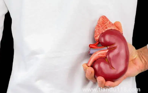 腎結石3mm需要治療嗎（腎結石3mm是多久形成的）