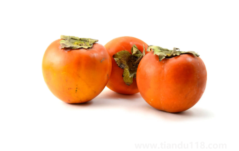 用鹽泡柿子要泡幾天(吃柿子的注意事項(xiàng))(圖2) 用鹽泡柿子要泡幾天2