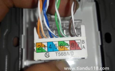 裝修時(shí)墻里埋光纖還是網(wǎng)線1