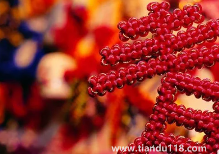 門對(duì)門掛中國(guó)結(jié)可以掛門上嗎(掛中國(guó)結(jié)要注意什么)(圖2) 門對(duì)門掛中國(guó)結(jié)可以掛門上嗎 2