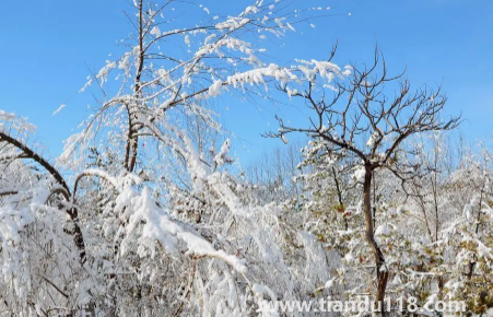 今年元旦北京會(huì)下雪嗎2023(元旦去北京穿什么合適)(圖3) 今年元旦北京會(huì)下雪嗎20233