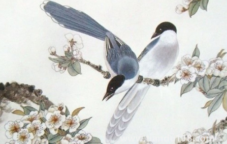 2023年生肖馬運(yùn)勢怎么樣(2023年運(yùn)勢不好怎么辦)(圖3) 2023年生肖馬運(yùn)勢怎么樣3