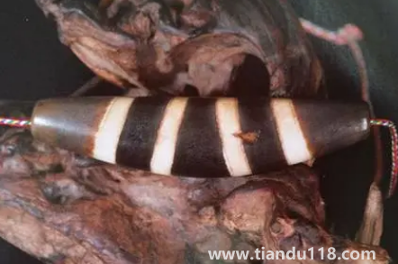 九眼天珠是什么材料做的(九眼天珠一般多少錢)(圖3) 九眼天珠是什么材料做的3