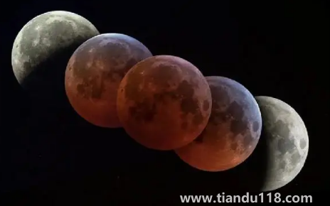 11月8日月全食每個地方都能見到嗎(月全食下一次何時出現(xiàn))(圖2) 11月8日月全食每個地方都能見到嗎2