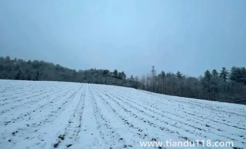 2022小雪過后就開始數(shù)九了嗎(數(shù)九是怎么算的)(圖2) 2022小雪過后就開始數(shù)九了嗎2