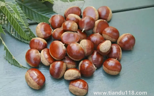 炒熟的板栗怎么保存不會(huì)壞還新鮮(炒板栗需要開口嗎)(圖3) 炒熟的板栗怎么保存不會(huì)壞還新鮮3