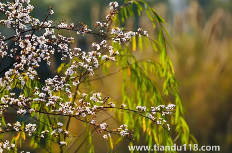 2022年閏二月冷不冷(閏月的歷史由來是怎么樣的)(圖3) 2022年閏二月冷不冷3