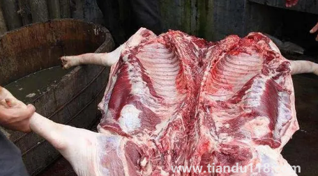 2023臘月哪天適合殺豬（臘月殺豬哪些是要注意的）