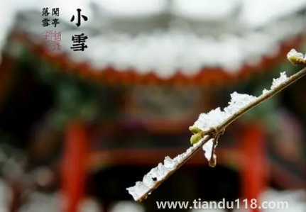 2022年小雪節(jié)氣艾灸有什么好處(二十四節(jié)氣小雪風俗)(圖2) 2022年小雪節(jié)氣艾灸有什么好處2