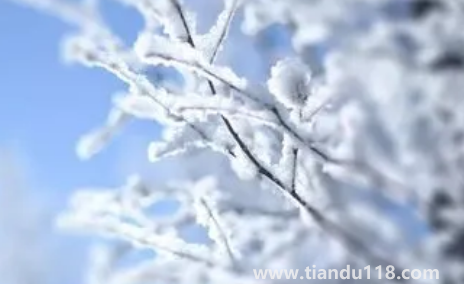 2022年小雪節(jié)氣艾灸有什么好處(二十四節(jié)氣小雪風俗)(圖3) 2022年小雪節(jié)氣艾灸有什么好處3