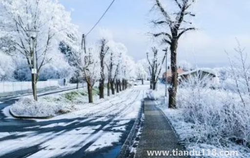 今年三九是最冷的時(shí)候嗎20232