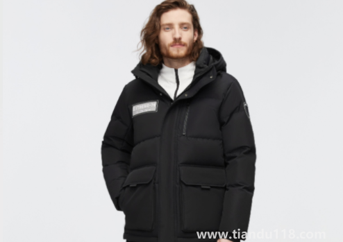 鵝絨一般比鴨絨貴多少(冬天有必要買鵝絨服嗎)(圖2) 鵝絨一般比鴨絨貴多少2