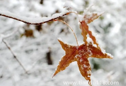 2023年大寒會(huì)不會(huì)下雪（大寒白天最高溫度是多少）