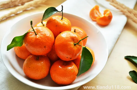 砂糖橘有籽好還是無(wú)籽好（砂糖橘怎么挑選）