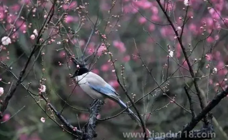 2023立春以后氣溫開(kāi)始回暖嗎（立春以后氣溫有什么變化）