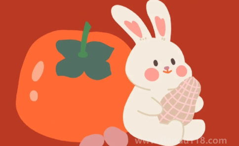 屬兔遇到黑兔年應(yīng)該帶什么（屬兔遇到黑兔年要注意什么）