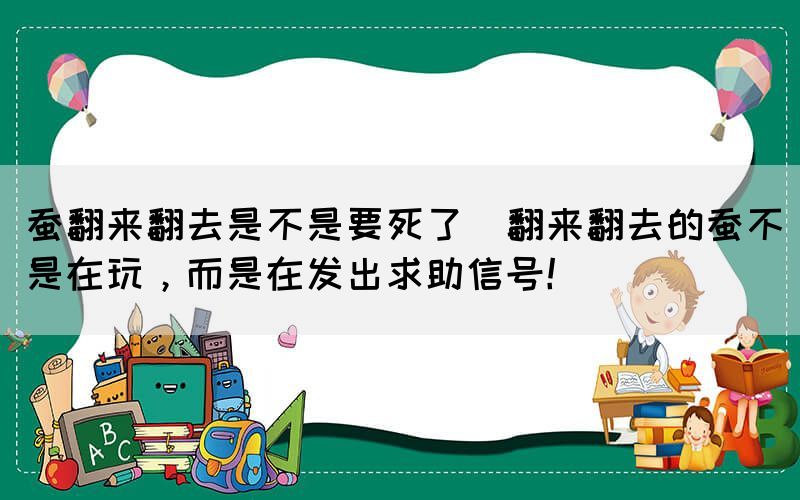 蠶翻來翻去是不是要死了(翻來翻去的蠶不是在玩，而是在發(fā)出求助信號！)