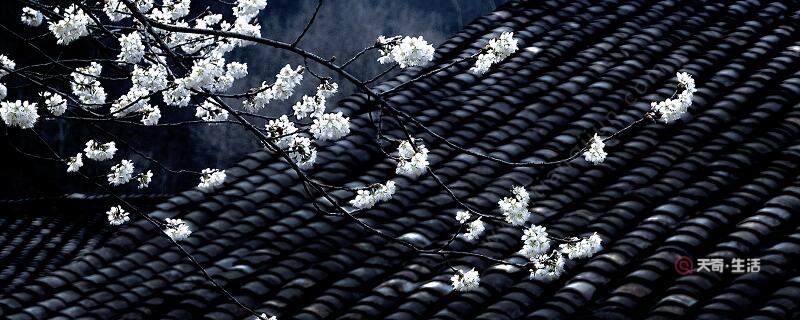 寒食古詩意思解釋和主題思想 《寒食》古詩的中心思想(圖1) 寒食古詩意思解釋和主題思想